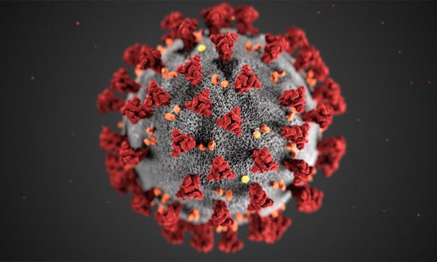 Can Europe afford to leave informal carers on their own at the forefront of the coronavirus battle?